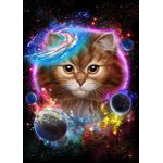 Cat in galaxy space cosmos  Style 2 Poster Chambre Haute Qualité