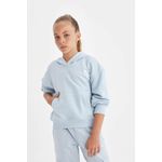 product_image_name-Defacto-سويت شيرت قصة عادية بغطاء للرأس بجيب-3