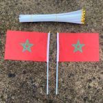 product_image_name-Generic-مجموعة من علمين مغربيين-7