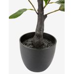 product_image_name-Generic-نبات صناعي أخضر (ارتفاع 75 سم)-2