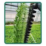 product_image_name-Generic-Lot de 10 Plateaux de Semis Professionnels – 104 Cellules pour une Germination Ultra-Efficace-3