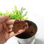 product_image_name-Generic-Moulin cafe et épices Multifunction électrique inox bon qualité 100%-3