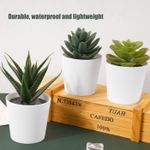 product_image_name-Generic-Lot de 3 plantes succulentes en plastique /5 cm-1