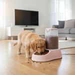 product_image_name-Generic-Distributeur automatique de croquettes pour chiens et chats – capacité 0,65Kg-2