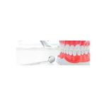 product_image_name-Parodontax-Dentifrice original au fluor pour le saignement des gencives - 75ml-7