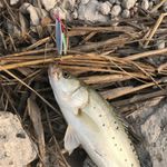 product_image_name-Seasky-JIG en métal moulé 60g 88mm impression 3D au Laser-6