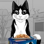 product_image_name-Felix-Pâtées pour chat 12 paquets de 4 pochons (48 pochons de 85g)-2