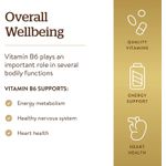 product_image_name-Solgar-Vitamine B6, 25mg, métabolisme énergétique, 100 Tablets-3