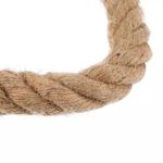 product_image_name-Vintage-Vintage Suspension Vintage Corde Edison + Lampe à Filaments ST64 LED offerte-4