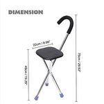 product_image_name-Generic-Canne de Marche Pliable 2-en-1 avec Siège Intégré – Soutien Mural et Repos Instantané pour Seniors-2