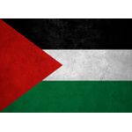 Flag of palestine on wall  Poster Chambre Haute Qualité