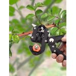 product_image_name-Generic-Solution efficace pour la greffe et la taille contrôlée-8