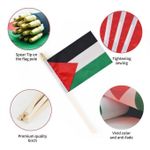 product_image_name-Generic-Lot 5 Drapeaux Palestine – Multicolore-3