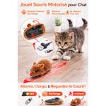 product_image_name-Generic-Jouet Souris en Peluche pour Chat – Effet Souris Courante-1