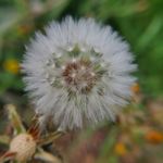 product_image_name-Generic-Objectif professionnel, Clip universel 37mm, 0,45x49uv, Super grand Angle + Macro HD aluminum-6