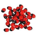 product_image_name-Natorea-Habbat el Ashq  Graines du diable  Ain al afrit  ein el efrit 50 GRAMS-2