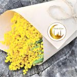 product_image_name-Generic-24pcs/48pcs Stickers Ramadan  Croissant rond doré décoratif, et étoiles avec texte Ramadan Kareem pour les festivals islamiques et la décoration intérieure, papier brillant, usage unique-7