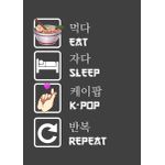Eat sleep kpop repeat  Style 6 Poster Chambre Haute Qualité