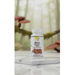 product_image_name-vitall +-Vit’all+ Reishi Biologique 400mg – Extrait Standardisé – 60 Gélules Végétales-2