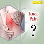 product_image_name-Looloo-GEL MUSCULAIRE, Oleo Rheuma, Gel essentielles, Apaise Muscles, Articulations et Tendons, Dos, Mollets, Cuisses, Gel Articulations 40g-5