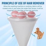 product_image_name-Generic-حل فعال ضد الشعر والزغب-6