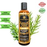 product_image_name-Generic-حزمة الشامبو مضادة لتساقط الشعر ، خالية من الكبريتات ، خالية من البارابين (شامبو إكليل الجبل +  بلسم الشعر بزيت الخروع  )-2