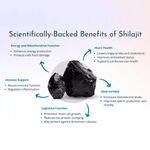 product_image_name-Herbo Ridouane-عبوتان من كبسولات الشيلاجيت، كل عبوة تحتوي على 120 كبسولة، مستخلص الشيلاجيت، مكمل غذائي غني بـ 300 ملغ من حمض الفولفيك الهيمالايا - يعزز المناعة، والطاقة، والمقاومة - 120 كبسولة.-3