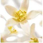 product_image_name-Nuxe-Prodigieux Néroli Douche Relaxante Parfumée 30ml-4