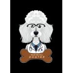 Veterinary poodle dogtor  Poster Chambre Haute Qualité