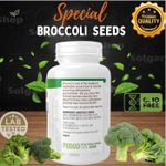 Now Foods Broccoli Seeds, Real Food,  بذور البروكلي، Real Food، بذور البروكلي، مغذية وصحية 4 أونصة (113 جم) - image 3