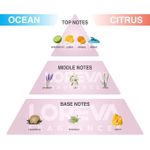 product_image_name-LOREVA-3 × OCEAN Room Diffusers للمنزل أو المكتب ، أي ديكور داخلي 300 مل-4