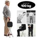 product_image_name-Generic-Canne Siège Pliable 2 en 1 pour Personnes Âgées-1