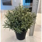 product_image_name-Generic-Plante artificielle Romarin en pot noir (Hauteur 22 cm)-2