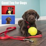 product_image_name-Generic-مجموعة 12 كرة تينس-2