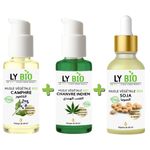 LY BIO PACK HUILE CAMPHREE 50ML - POMPE + HUILE HYDRATANTE & NUTRITIVE 50ML - POMPE + HUILE SOJA 50ML - PIPETTE