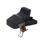 product_image_name-Generic-Attrape souris //piège à souris-2