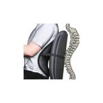 cal dos confortable special mal de dos