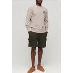 Super Dry Short Style Cargo  pour Homme Vert - image 3