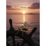 product_image_name-Generic-Sculpture Ornementale : L'Insecte de Collection-7