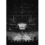 Basketball  Poster Chambre Haute Qualité