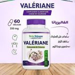 product_image_name-Herbo Ridouane-مجموعة مكونة من 3 قطع زجاجة مكمل للنوم مستخلص جذر الفاليريان كبسولات جذر الفاليريان 350 مجم للمناعة ومضاد للإرهاق، مستخلص جذر الفاليريان.-2