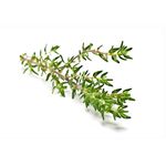 product_image_name-Cavailles-Lingettes Antibacterien 15 U-2