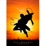 Attack on titan  Style 300 Poster Chambre Haute Qualité