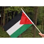 product_image_name-Generic-Drapeau Palestine – Noir Blanc Vert & Rouge-5