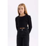 product_image_name-Defacto-بلوفر سليم فيت بياقة مستديرة-3