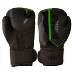 GANTS DE BOXE pakka vert