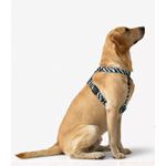 product_image_name-Generic-Harnaiss pour Chien Taille Moyenne – Réglable, Confortable & Sécurisé – Motif Géométrique Noir/Blanc avec Finition Turquoise-1