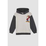 product_image_name-Defacto-Boy Mickey & Minnie Licenced Regular Fit Long Sleeve Hoodie-1
