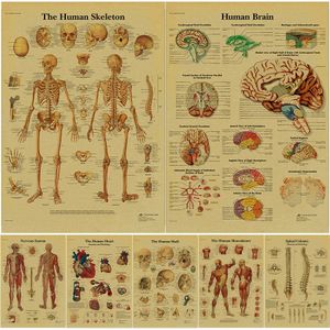 Poster anatomie au Maroc, Achetez en ligne à prix pas cher