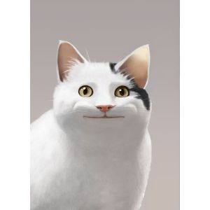 Polite cat meme  Style 20 Poster Chambre Haute Qualité